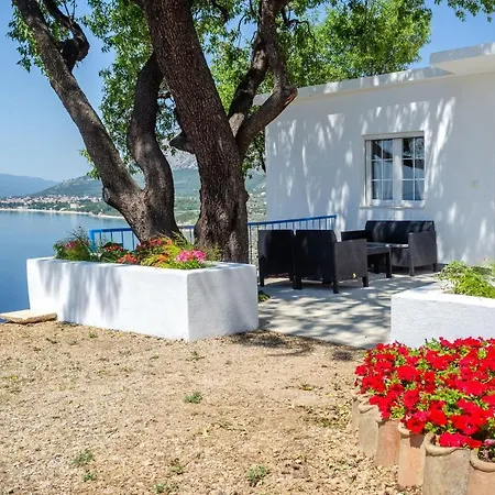 House Deja Blue אורביץ