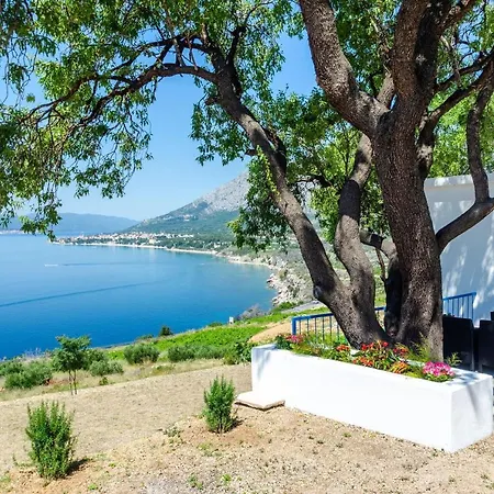 House Deja Blue אורביץ