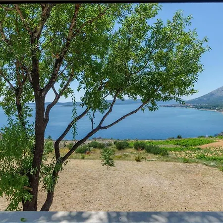 House Deja Blue Дом отдыха