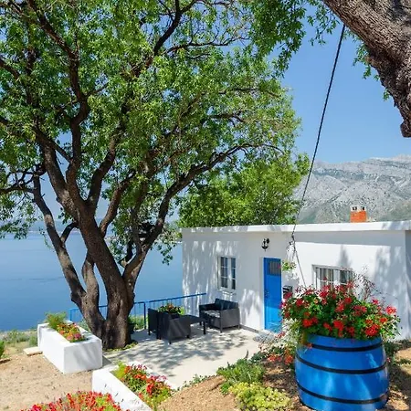 House Deja Blue Дом отдыха *