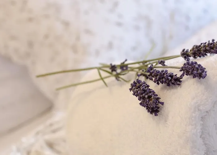 House Deja Blue بيت للعطل *