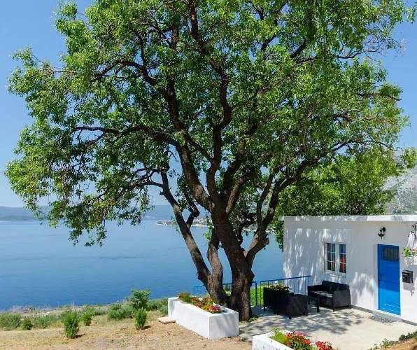 House Deja Blue *